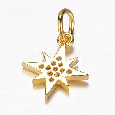 Brass Micro Pave Cubic Zirconia Charms ZIRC-K045-07G-1