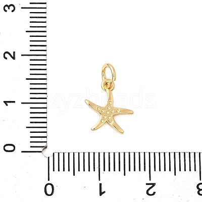 Brass Charms KK-A266-12F-G-1
