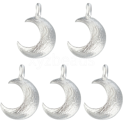 5Pcs 925 Sterling Silver Charms STER-BBC0006-15-1