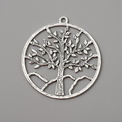 Tibetan Style Alloy Pendants FIND-WH0110-203-1