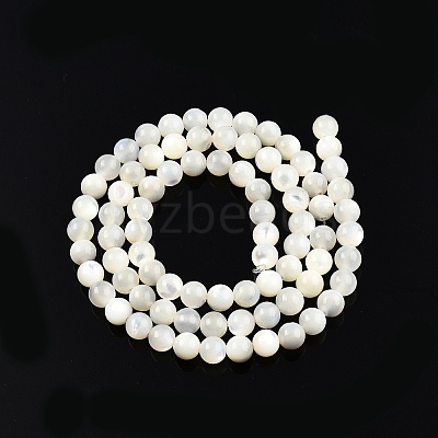 Natural White Shell Bead Strands X-SSHEL-N003-144D-01-1