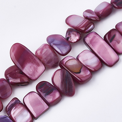 Freshwater Shell Beads Strands X-SHEL-S274-40G-1