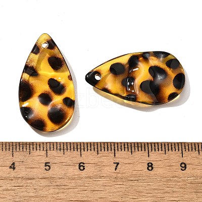 Transparent Acrylic Pendants OACR-D303-01G-1