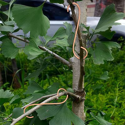 Copper Plant Growth Support DIY-NB00006-1