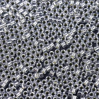 MIYUKI Delica Beads X-SEED-J020-DB0041-1
