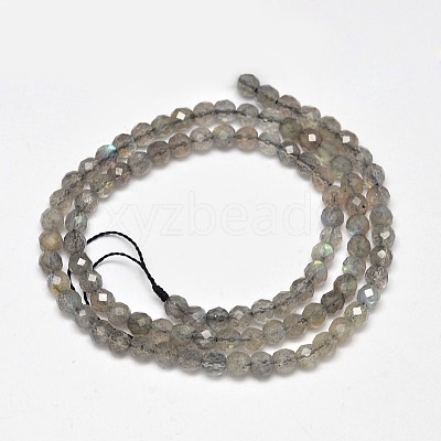 Faceted Round Natural Labradorite Bead Strands G-F289-09-1