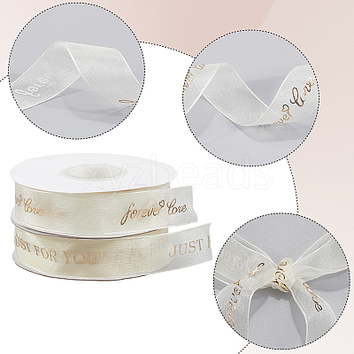 2 Rolls 2 Styles Chiffon Lace Trim for Sewing Decoration OCOR-CY0001-65B-1