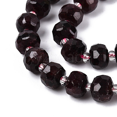 Natural Garnet Beads Strands G-N327-08A-03-1