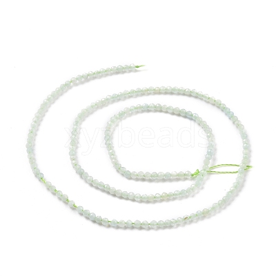 Natural Green Beryl Beads Strands G-D463-03-1