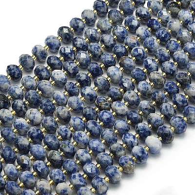 Natural Blue Spot Jasper Beads Strands G-P573-A45-01-1