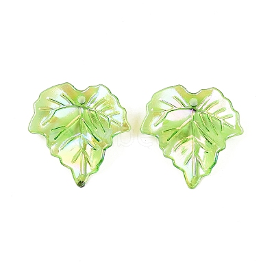 Acrylic Pendants OACR-N137-31A-1