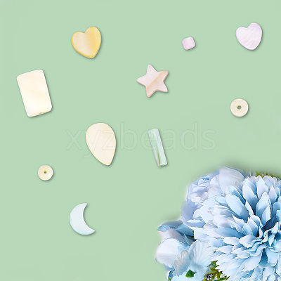 120Pcs Macaron Color Natural Shell Beads SHEL-SC0001-71-1