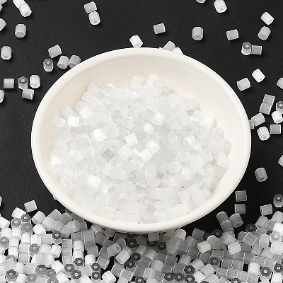 Glass Seed Beads SEED-H002-D-A801-1