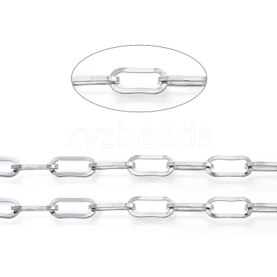 Tarnish Resistant 304 Stainless Steel Paperclip Chains CHS-D030-02P-1