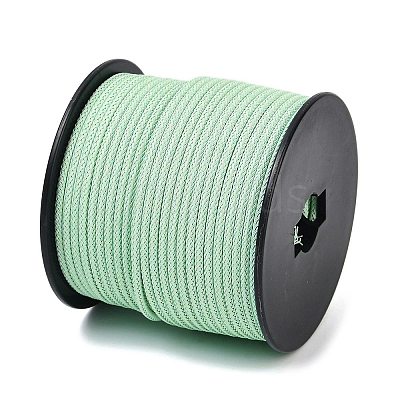 Braided Round Steel Wire OCOR-D300-10-1