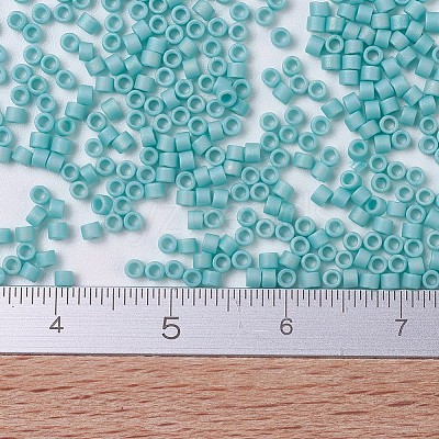 MIYUKI Delica Beads Small X-SEED-J020-DBS0878-1