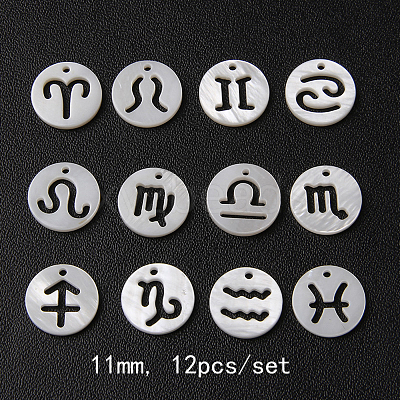 Natural Freshwater Shell Charms SHEL-CJ0002-01-1