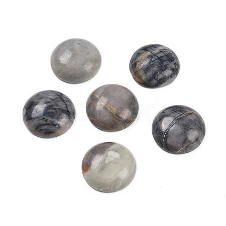 Natural Picasso Jasper Cabochons G-T020-18mm-42-1