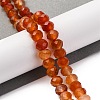 Natural Red Agate(Dyed & Heated) Beads Strands G-K380-A49-07-2