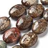 Natural Wealth Stone Beads Strands G-P528-D02-01-1