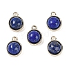 Natural Lapis Lazuli Pendants G-K372-03G-09-1