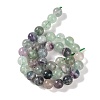 Natural Fluorite Beads Strands G-P530-B04-04-4