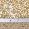 MIYUKI Delica Beads X-SEED-J020-DB1571-4
