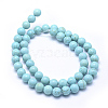 Natural Howlite Beads Strands X-TURQ-G148-07-8mm-2