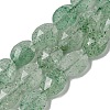 Natural Green Strawberry Quartz Beads Strands G-P544-D10-01-1