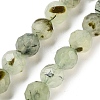 Natural Prehnite Beads Strands G-C150-B02-02-2