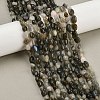 Natural Labradorite Beads Strands LS-G-C250-03-1