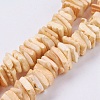 Natural Sea Shell Beads Strands BSHE-K012-08-4