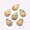 Natural Picture Jasper Cabochons G-P384-N07-1