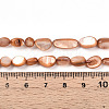 Natural White Shell Beads Strands SHEL-N036-21E-4