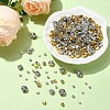 340Pcs 10 Styles Sew on Rhinestone KK-YW0002-36-4