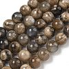 Natural Black Moonstone Beads Strands G-Q183-A01-02-1