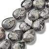 Natural Map Stone/Polychrome Jasper/Picasso Stone/Picasso Jasper Beads Strands G-P528-L11-01-1