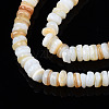 Natural Freshwater Shell Beads Strands SHEL-S278-067G-3