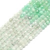 Natural Emerald Quartz Beads Strands G-G106-C09-01-1