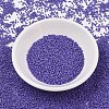 MIYUKI Delica Beads X-SEED-J020-DB2359-2