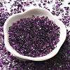 Transparent Baking Paint Glass Seed Beads SEED-A033-06A-04-2