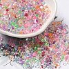 Glass Seed Beads SEED-K009-08A-12-1