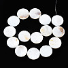 Natural Freshwater Shell Beads Strands SHEL-Q024-006-2