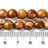 Natural Picture Jasper Beads Strands G-T047-A22-01-5