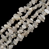 Natural Moonstone Beads Strands G-G0003-B42-1