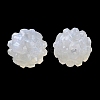 Acrylic Beads SACR-F010-04-3