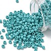 TOHO 6/0 Round Beads SEED-XTR06-0055-1