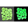 Plastic Imitation Luminous Stone Display Decoration PW-WG21176-06-1