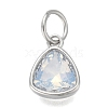 304 Stainless Steel Cubic Zirconia Pendant ZIRC-P080-B05-1