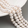 Natural Cultured Freshwater Pearl Beads Strands PEAR-C003-12G-2